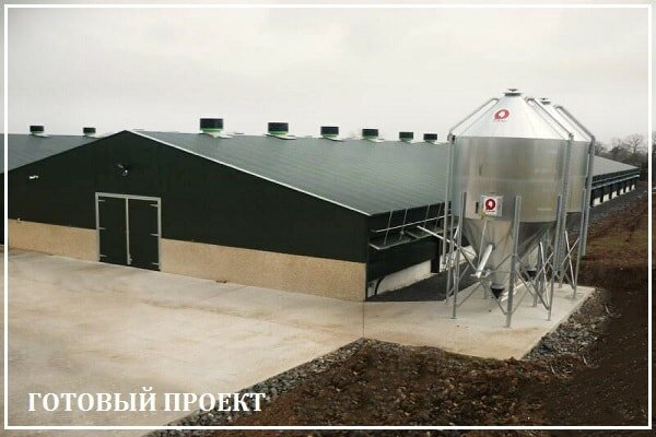 Этапы возведения птицефабрики от завода ВелесТент-трд